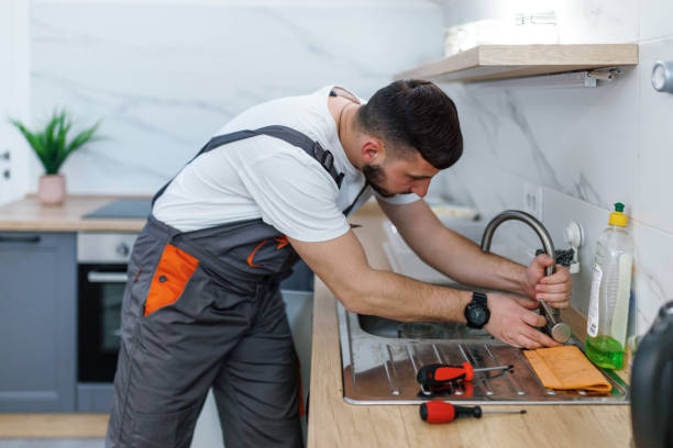 Best Clogged Drain Plumber  in Seyur, MO